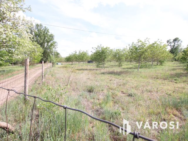 Szeretne passzív jövedelmet dióból?